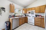 7443 Macaw Ln - Photo 9