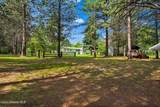 443 Herrmann Lake Rd - Photo 40