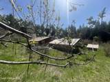 2447 Turner Hill Rd - Photo 56