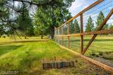 31574 Sienna Loop - Photo 44