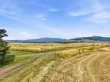 14918 Ness Rd - Photo 62