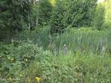 NKA Tract C - Collins Rd - Photo 8
