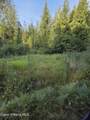 NKA Tract C - Collins Rd - Photo 9