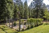 11364 Eastside Rd - Photo 35