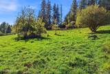 124 Lower Syringa Rd - Photo 10