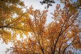 802 Sandpoint Ave #8403 - Photo 87