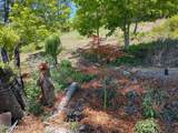 140 Alpine Ln - Photo 56