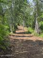 NKA 160 Acres Jeru Creek Rd 293 - Photo 8