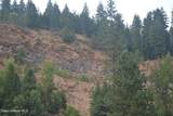 265 Lower Manley Creek - Photo 41