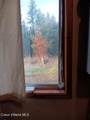 359 Curley Creek Rd. - Photo 44