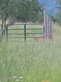 359 Curley Creek Rd. - Photo 48
