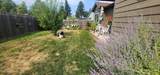 2317 Shady Oak Ln - Photo 16