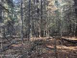 30.91acs French Gulch Rd - Photo 10