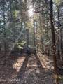 30.91acs French Gulch Rd - Photo 4
