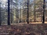 30.91acs French Gulch Rd - Photo 6
