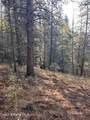 30.91acs French Gulch Rd - Photo 7
