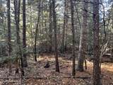 30.91acs French Gulch Rd - Photo 8