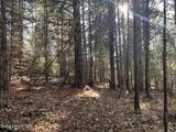 30.91acs French Gulch Rd - Photo 9