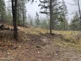 NKA Birdpoint Rd - Photo 7