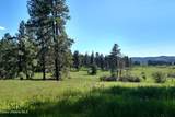 337 Coon Creek Road - Photo 37