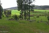 337 Coon Creek Road - Photo 41
