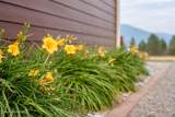 7463 Lancaster Rd - Photo 48
