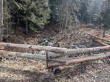  Flying Eagle Lot 19 - Photo 5