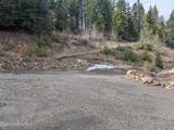  Flying Eagle Lot 19 - Photo 7