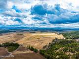 24443 Weller Road - Photo 37