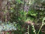 927 Bear Claw Rd - Photo 47