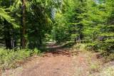 335 Tamarack Ln - Photo 49