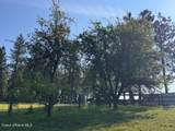 5005 Cougar Estates Rd - Photo 38