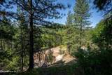 238 Black Sheep Rd - Photo 43