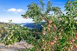 12474 Rockford Bay Rd - Photo 10
