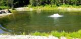 1007 Ruby Creek Rd - Photo 28