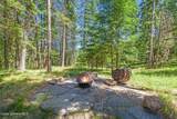 4456 Eagles Mere Rd - Photo 41