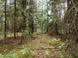 2225 Mud Gulch Rd - Photo 9