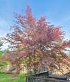 22 Robin Dr - Photo 38