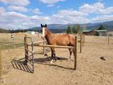 229 Mcdonald Creek Rd - Photo 41