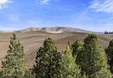 3351 Lone Pine Rd - Photo 101