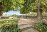 3351 Lone Pine Rd - Photo 58