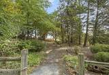 3351 Lone Pine Rd - Photo 63