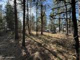 1733 Last Chance Rd - Photo 11