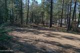 1733 Last Chance Rd - Photo 12