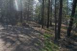 1733 Last Chance Rd - Photo 13
