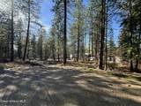 1733 Last Chance Rd - Photo 6