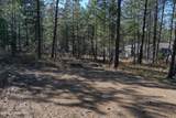 1733 Last Chance Rd - Photo 9