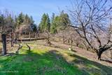 31 Lightning Spur Ln - Photo 57