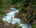 2875 Gold Creek Rd - Photo 86