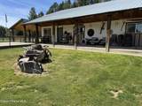1870 Highway 57 - Photo 3